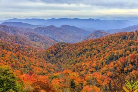 Great Smoky Mountains National Park aerial view